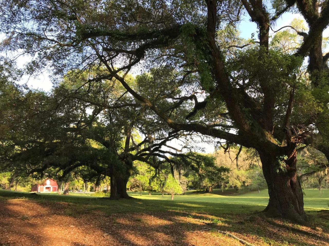 Canemount Plantation Inn Westside 외부 사진