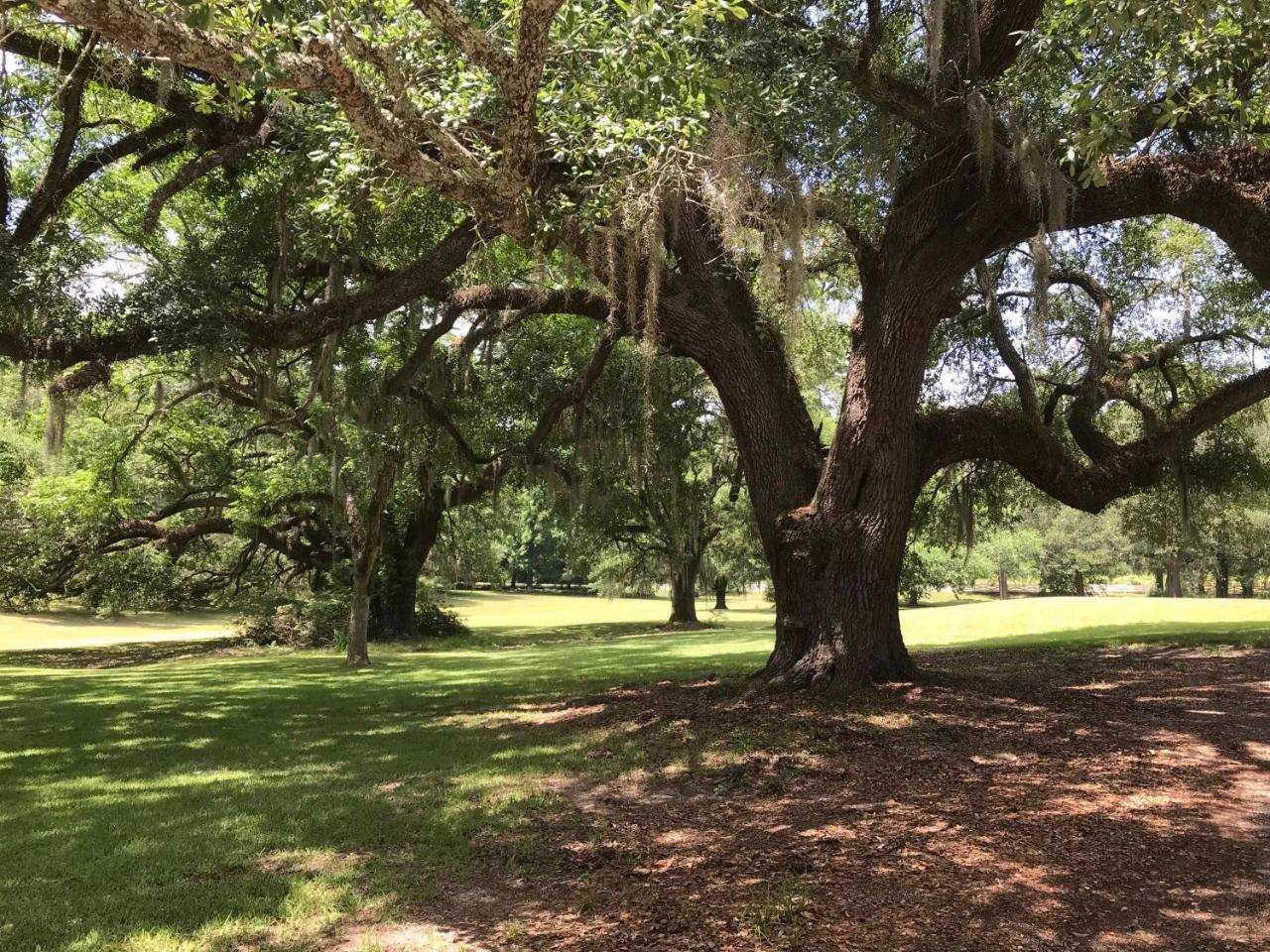 Canemount Plantation Inn Westside 외부 사진
